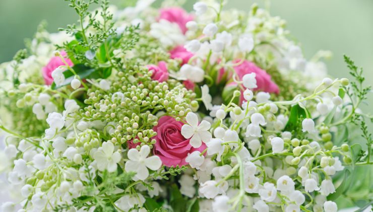 Mustafa Şentürk’ün kızı Saliha Şentürk Evleniyor