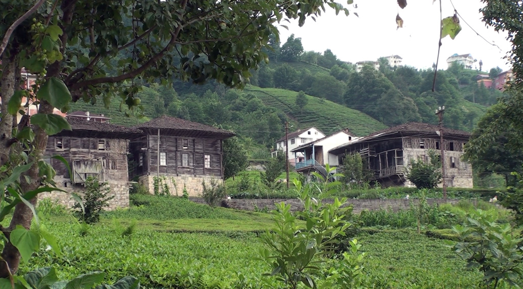 Gürpınar köyüne hoş geldiniz! / Welcome to Gürpınar village